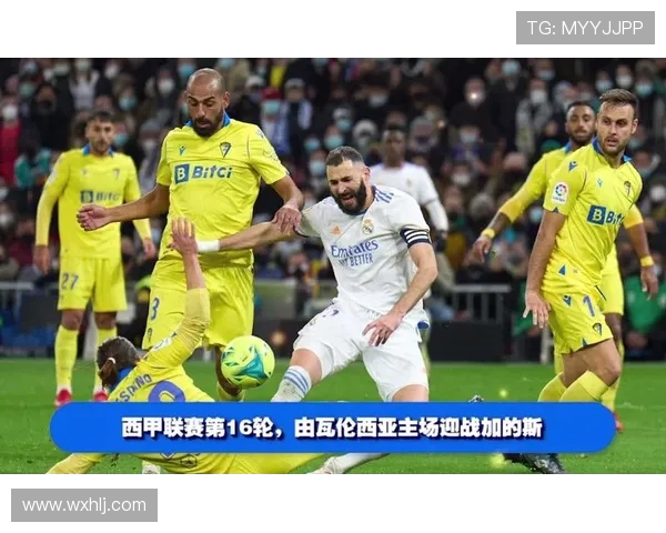 免费观看西甲联赛直播的途径与注意事项